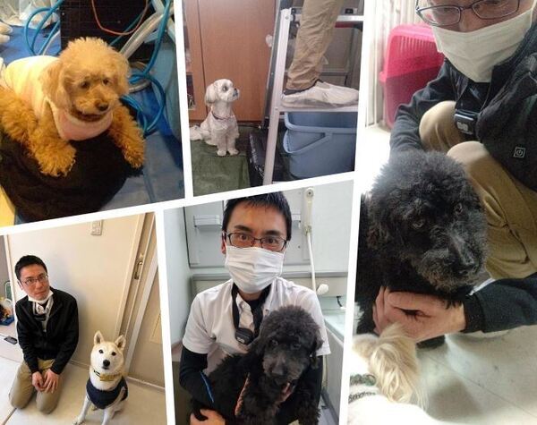 アグリドックレスキュー活動写真