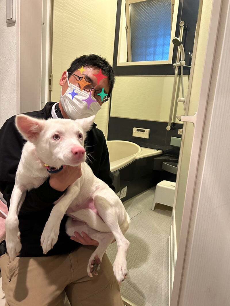 アグリ保護犬活動写真