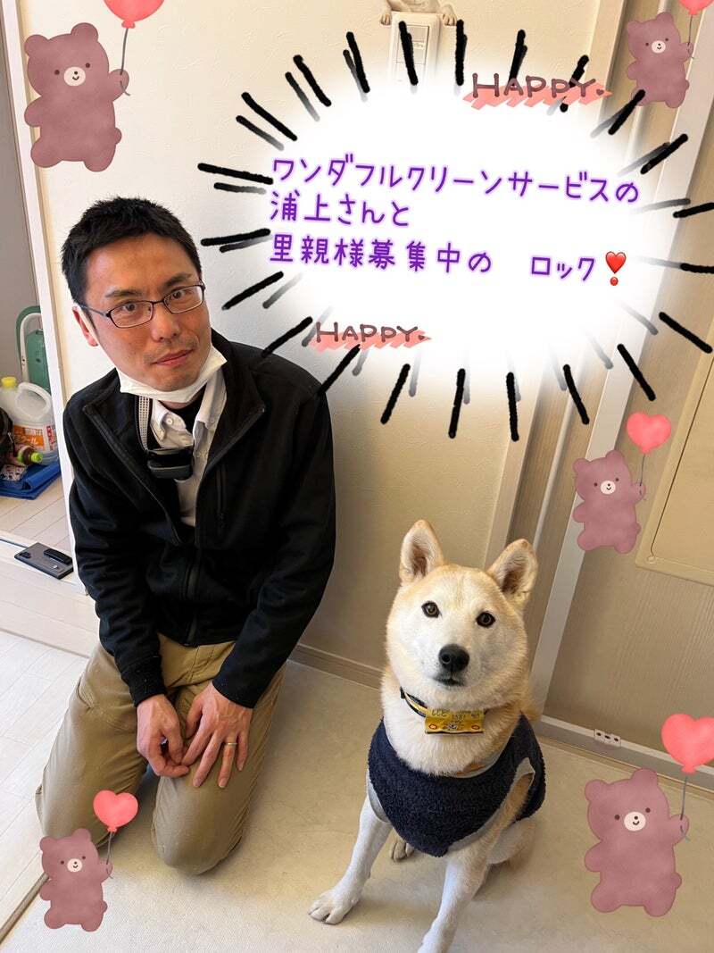アグリ保護犬活動写真