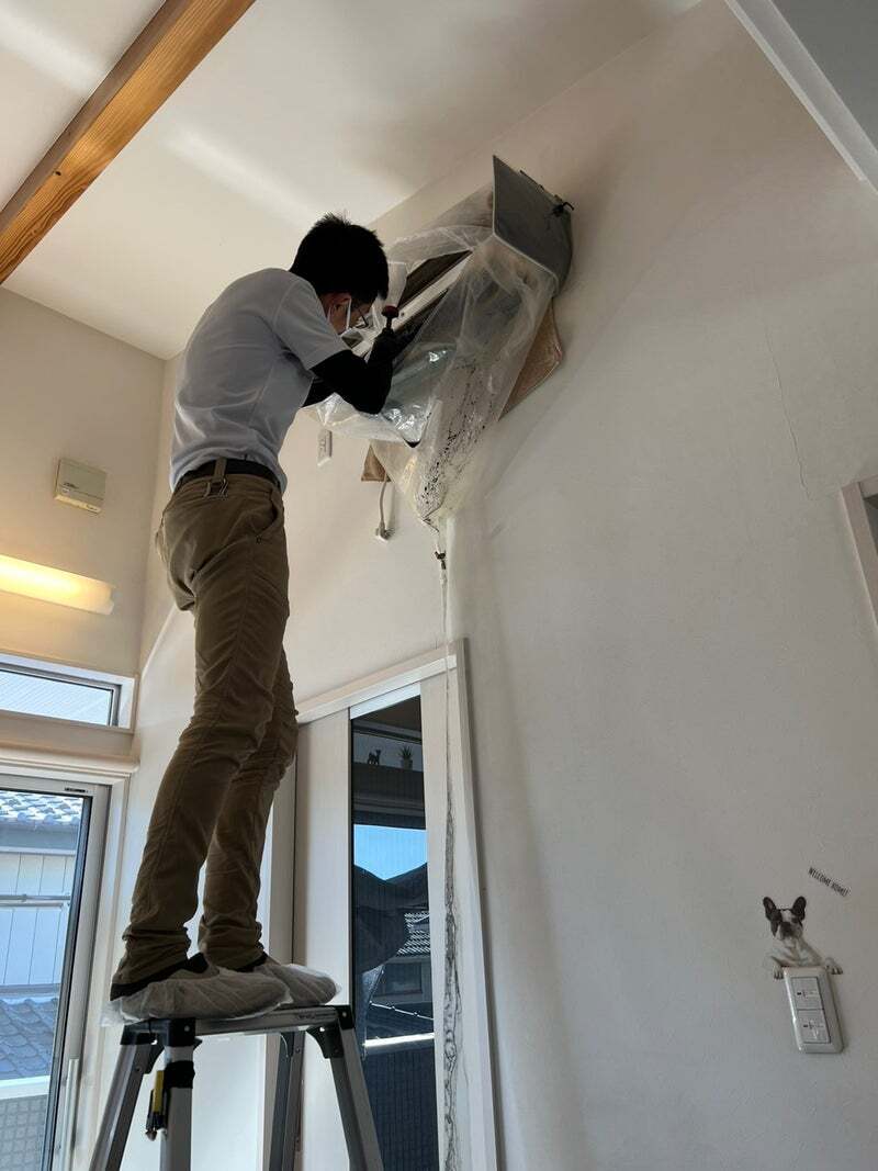 アグリ保護犬活動写真