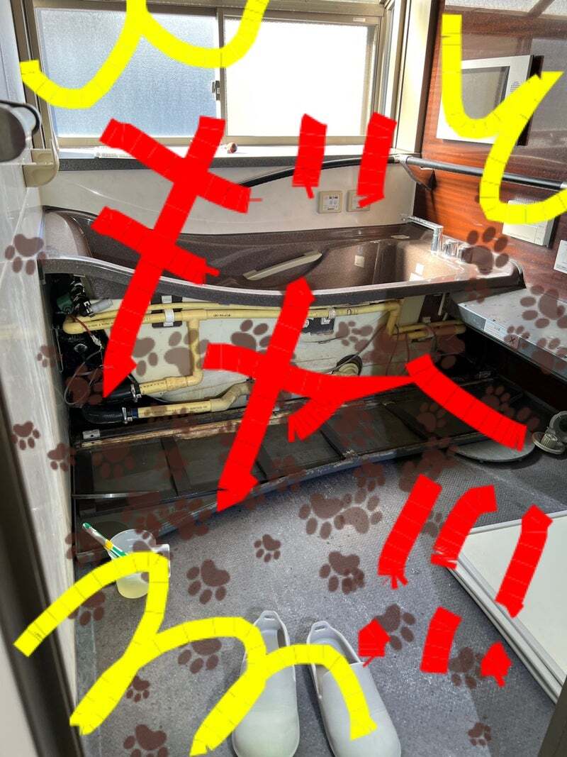 アグリ保護犬活動写真