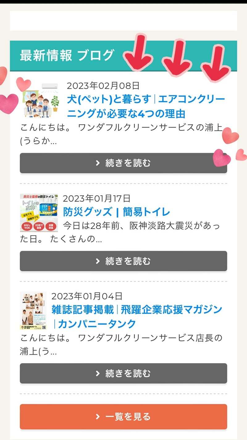 アグリ保護犬活動写真