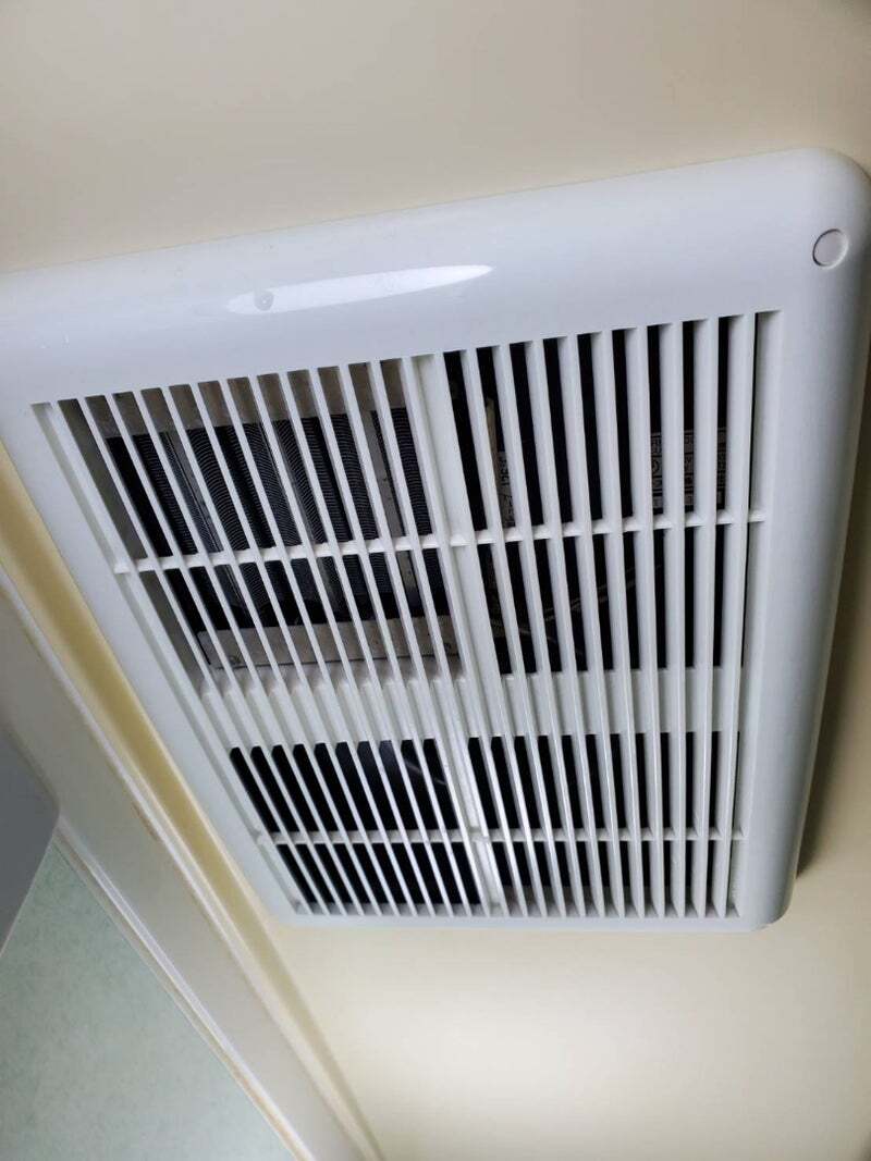 アグリ保護犬活動写真