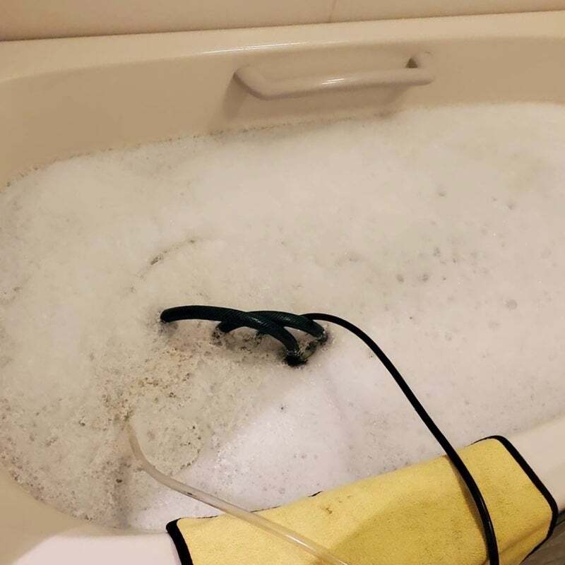 アグリ保護犬活動写真