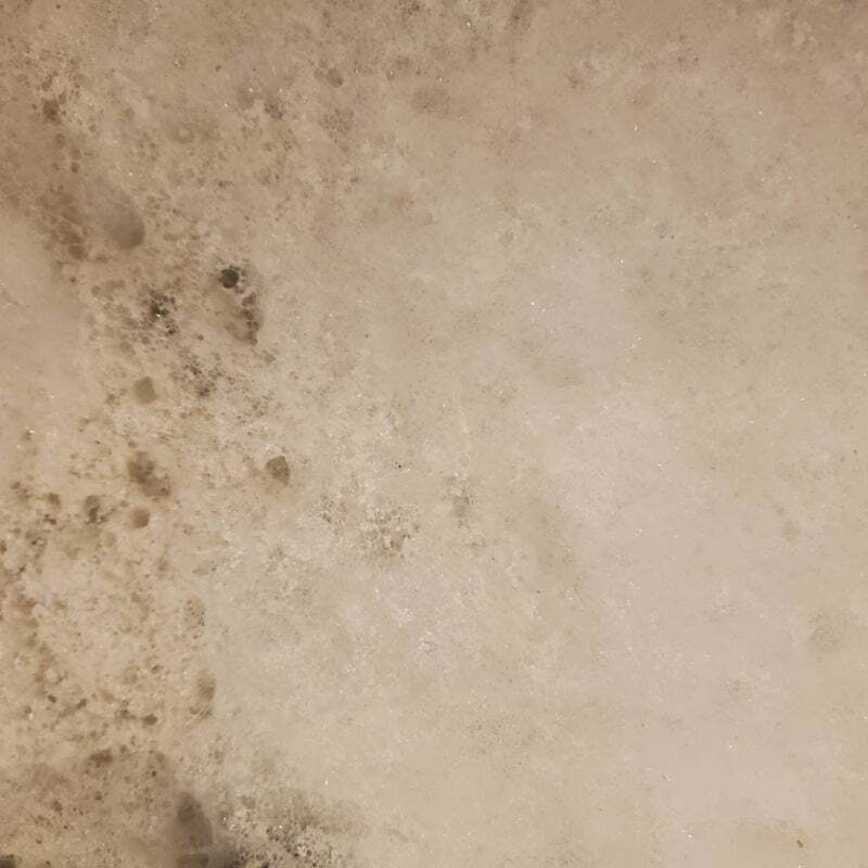 アグリ保護犬活動写真