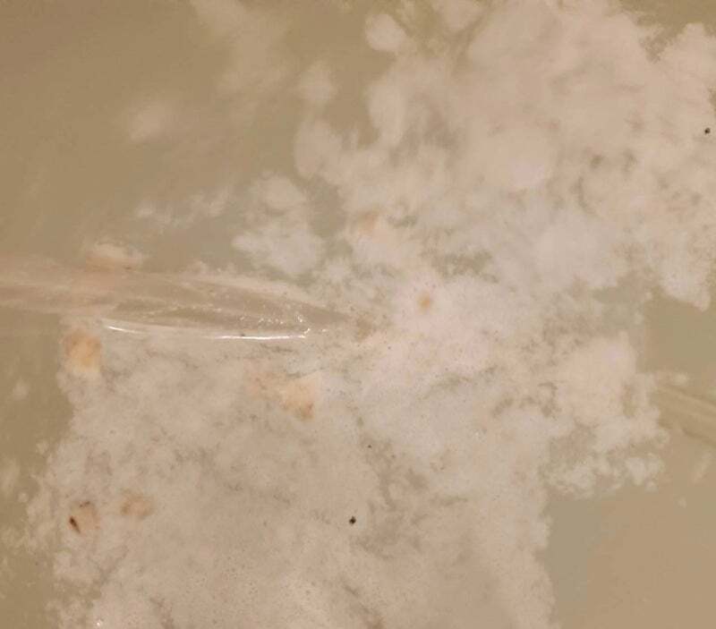 アグリ保護犬活動写真