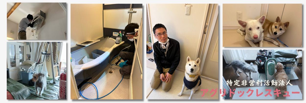 アグリドッグレスキュー