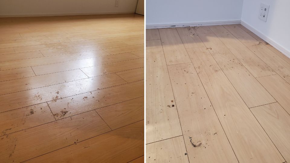 フロアクリーニング