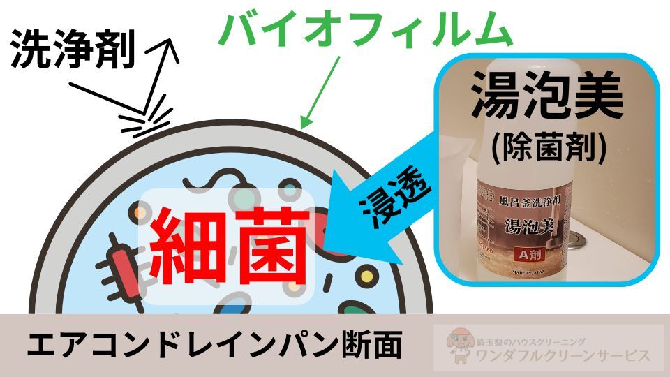 湯泡美エアコンドレインパン断面